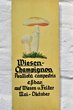 Pilz-Lehrtafel "Wiesen Champignon"