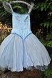 Kleid Ballett Tanzkleid Tutu  / Tütü