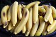 Banane Fake Frucht