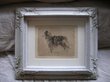 Lithografie "Barsoi Hund"