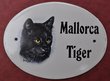 Emailschild Katze