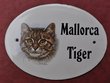 Schild Emailschild Katze