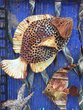 Metallbild Fische Aquarium