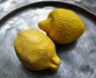 Frucht "Zitrone"
