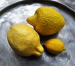 Frucht "Zitrone"